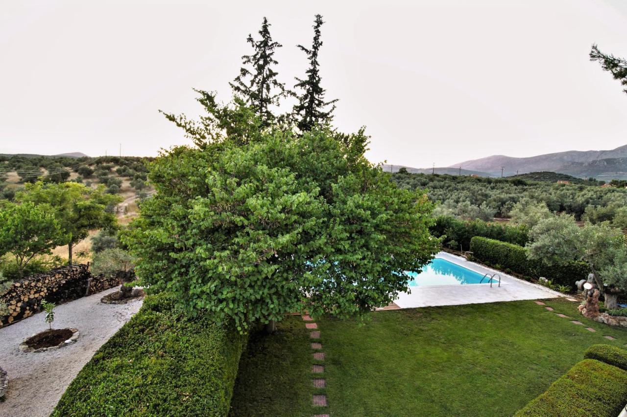 Villa Korina Metochi  Екстериор снимка