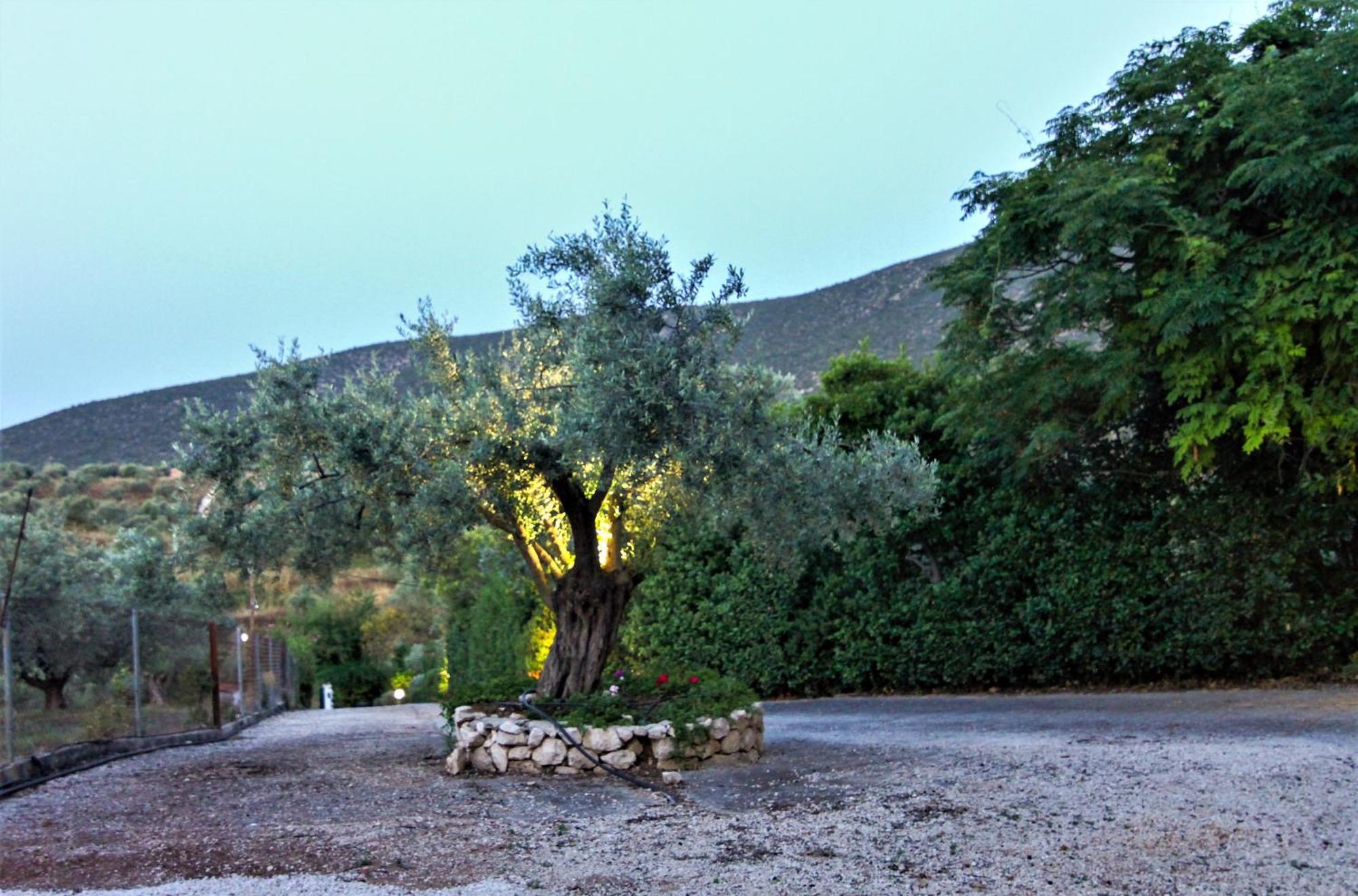 Villa Korina Metochi  Екстериор снимка