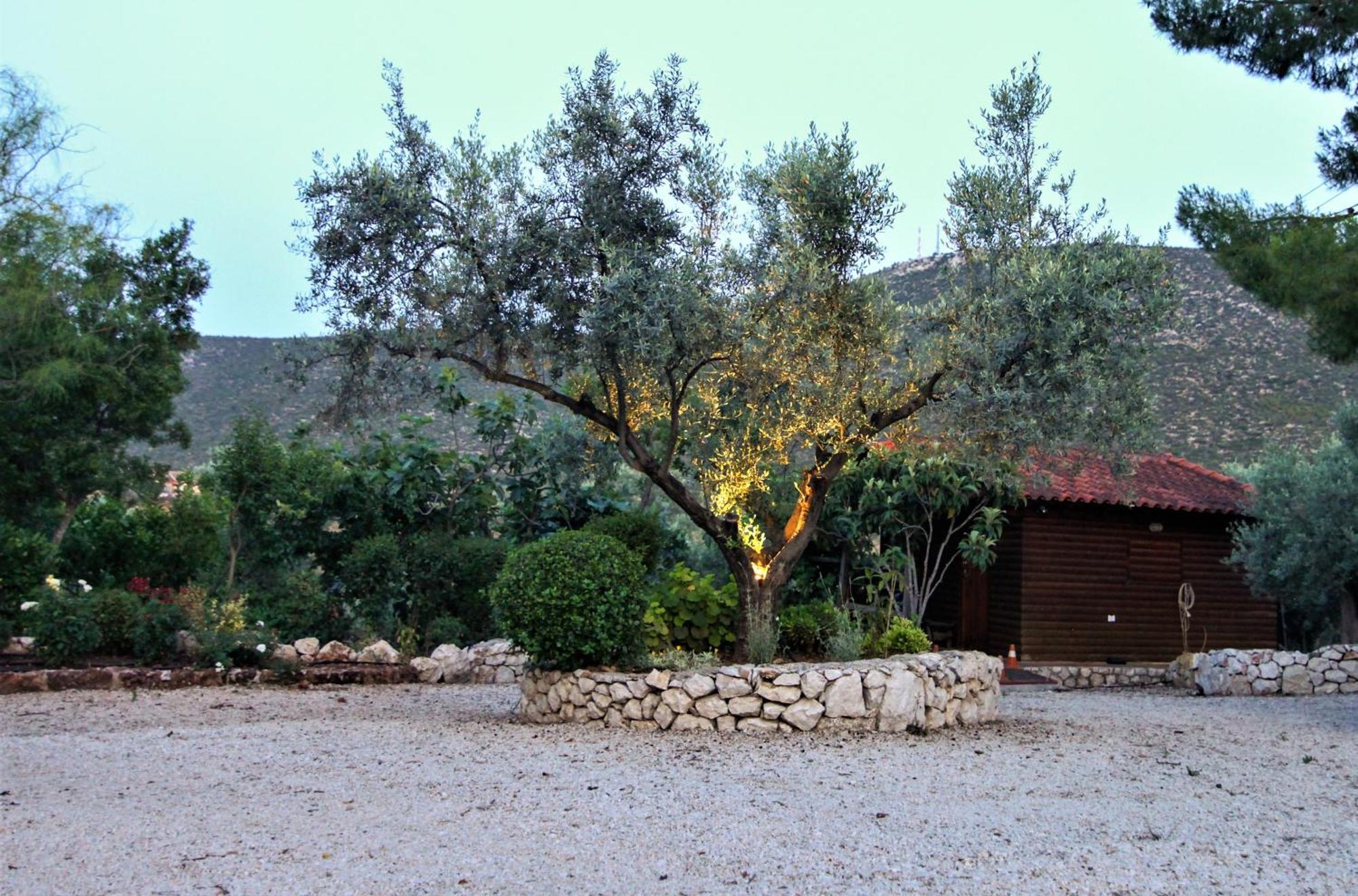 Villa Korina Metochi  Екстериор снимка