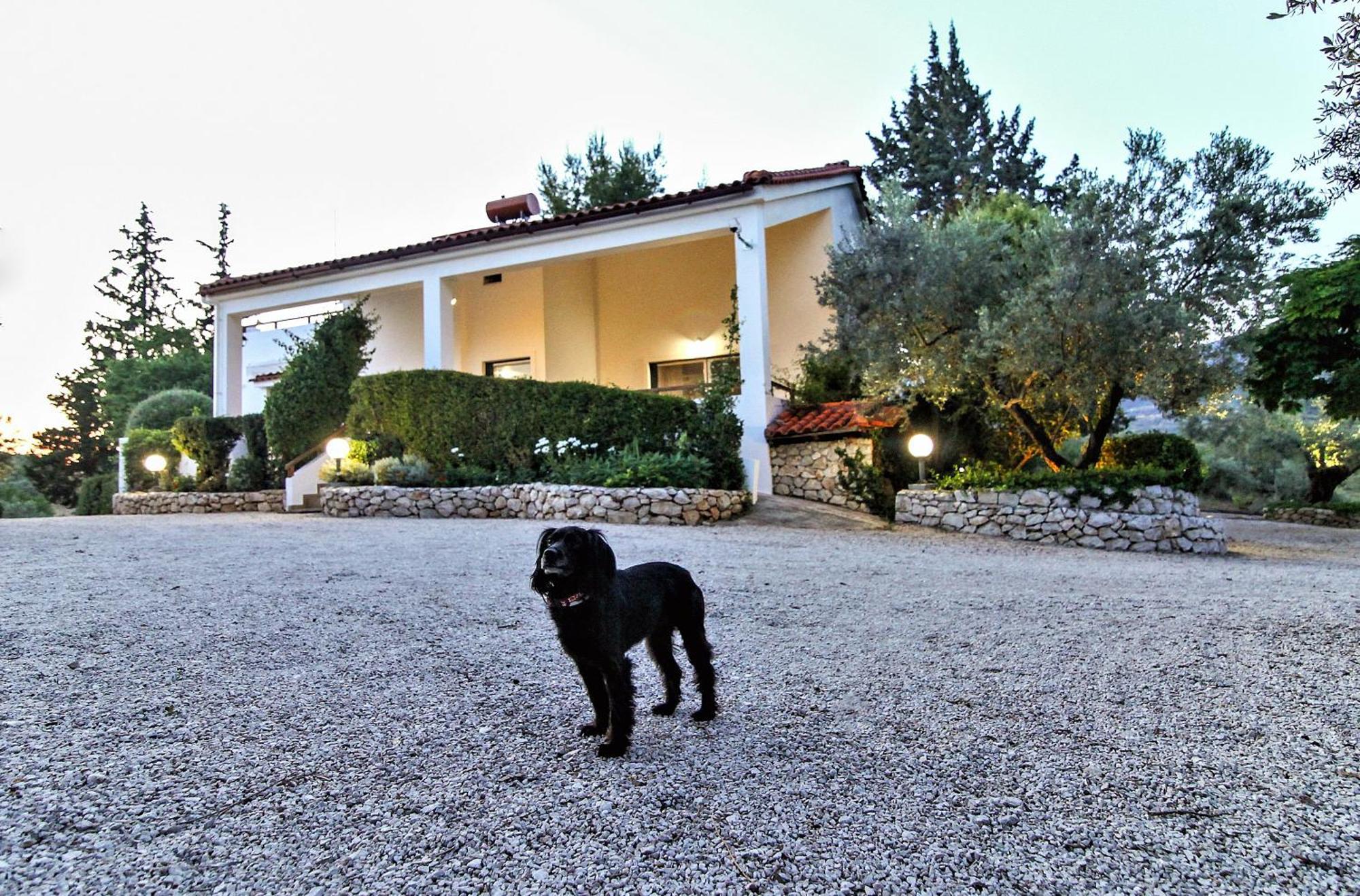 Villa Korina Metochi  Екстериор снимка